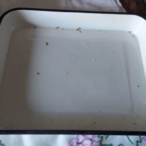 VENDIDA Fuente enlozada para horno