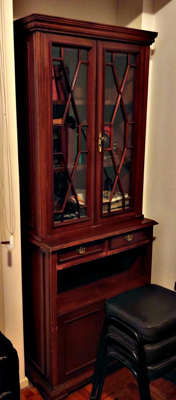 Mueble vitrina angosto